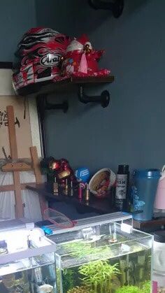 -椿树下·Tattoo纹身工作室