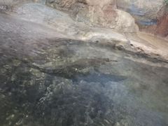 -福州罗源湾海洋世界旅游区