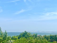 -海豚湾·大堂吧(厦门佰翔波特曼七星湾酒店)