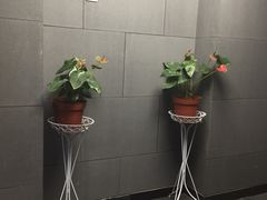 -开阳里游泳健身