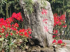 -红螺寺