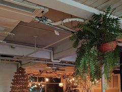 -水边(郯城店)