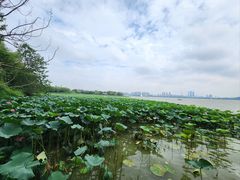 -云龙湖旅游景区