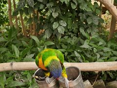 -南宫五洲植物乐园