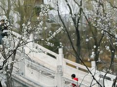 -迎泽公园