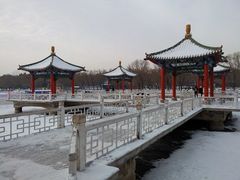 -长春市南湖公园