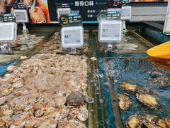 水产区-盒马鲜生(皇庭广场店)