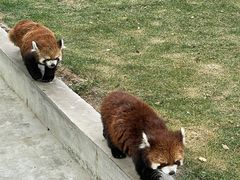 -水上乐园·欢乐世界