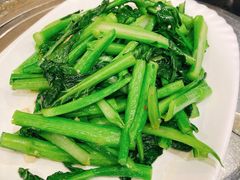 猪油渣菜心-美极鲜食坊(宝安南路店)