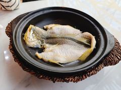 泉水黄花鱼-锦園(伊势丹美食城店)
