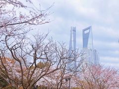 -陆家嘴中心绿地