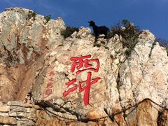 -西涌国际滨海旅游区