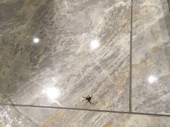 -哈尔滨中央大街华特酒店