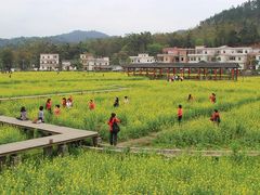 -红山村