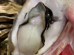 高压锅生蚝-美人万三·蚝大人生蚝小馆(昌里路店)