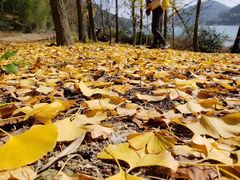 -宁波五龙潭景区