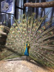 -酷嗒动物文化乐园(cutezoo西溪乐天城店)