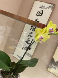 -米莱 Hair Salon 美髮