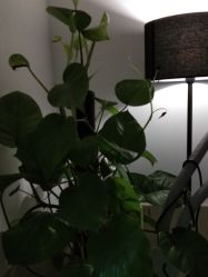 点击看大图 -可爱多国际儿童摄影会馆(龙泉店)