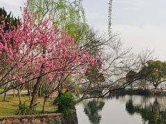 -无锡蠡湖国家湿地公园-蠡园