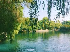 -百脉泉景区