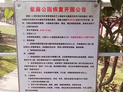 -嘉定紫藤园