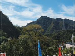 -大岭沟猕猴桃谷风景区