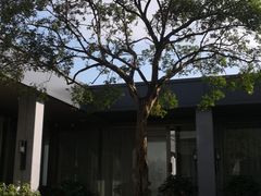 -拾贰季喜宴(百利达广场店)