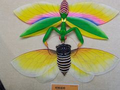 -潍坊世界风筝博物馆