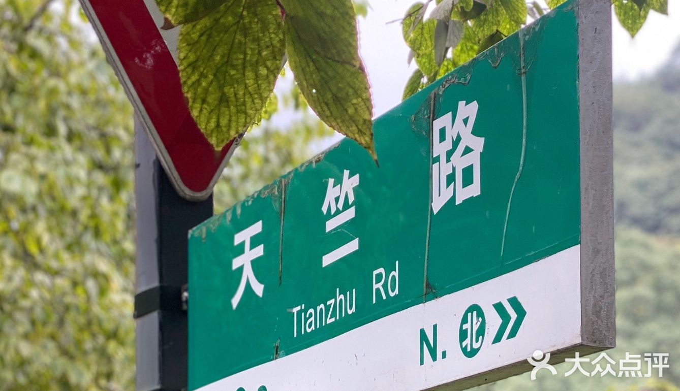 旅行随拍📷那一年秋天的杭州桂花香🍃