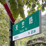 旅行随拍📷那一年秋天的杭州桂花香🍃
