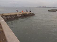 -东疆建设开发纪念公园