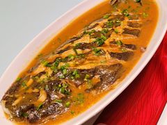 -青岛富力艾美酒店