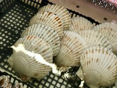 -南沙十九涌渔人码头-南门