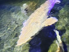 -左海海底世界