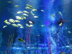 -沈阳海洋探索中心