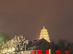 -大雁塔北广场音乐喷泉