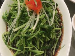 -田园小观园(武大店)