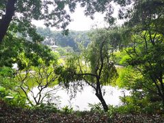 -广州雕塑公园