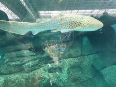 -波塞冬旅游度假区