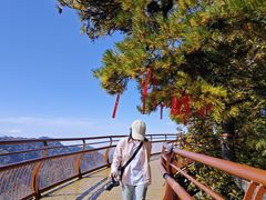 -少华山国家森林公园