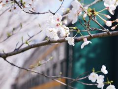 -新天地活力PARK