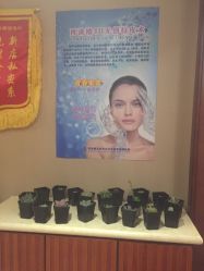 -再清椿美容
