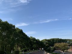 -中加枫华国际学校