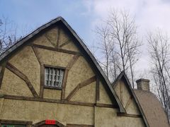 -合肥滨湖国家森林公园