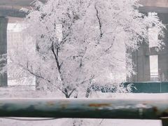 -水磨沟公园