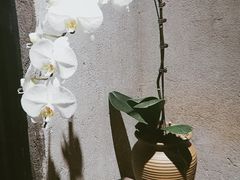 景观位-邊渡咖啡