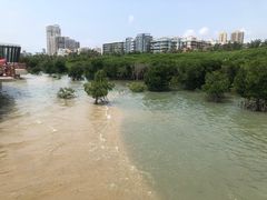 -一茶一点(海景店)