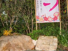 -美的鹭湖森林度假区