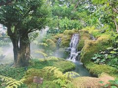 -Chom Cafe and Restaurant